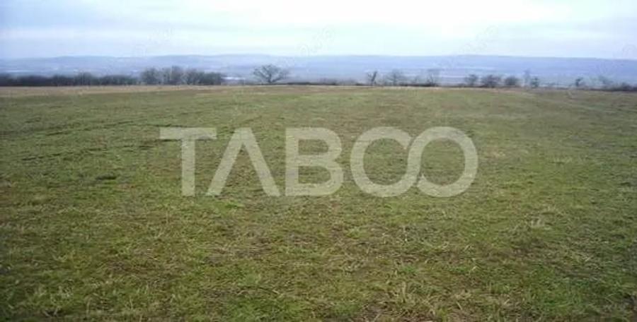 Teren de 3000 mp, în Paltin