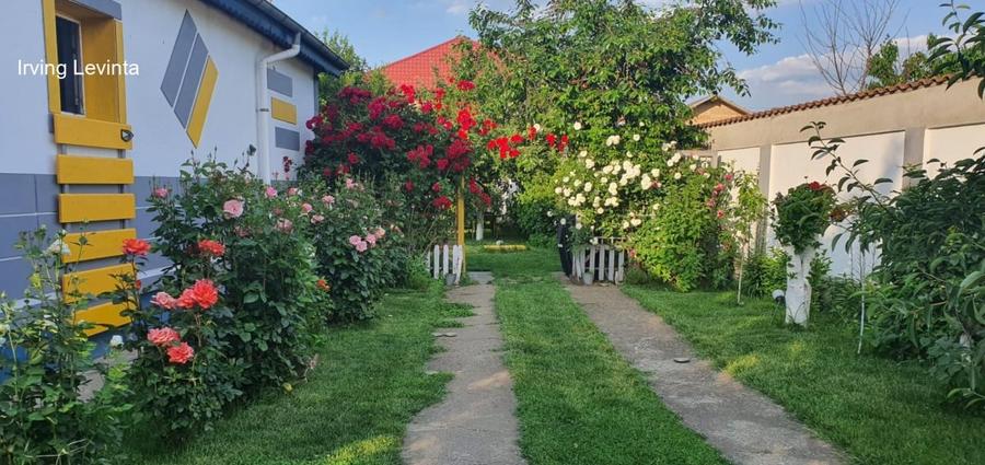 Casă individuală cu 3 camere cu Teren 450 Mp în Cernica