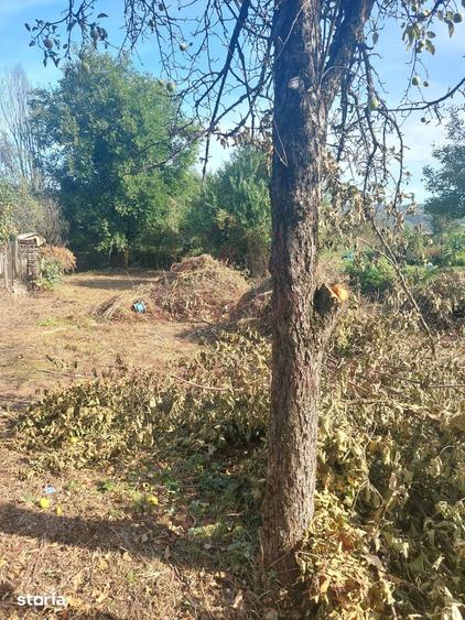 Casă cu 2 camere cu Teren 600 Mp în Central