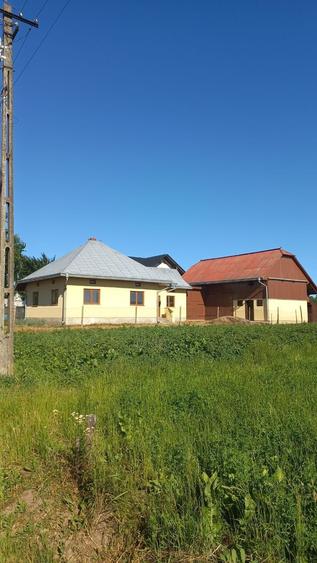 Casă cu 3 camere în Arbore