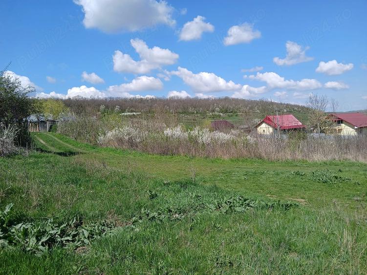 Teren de 1150 mp, în Dămienești