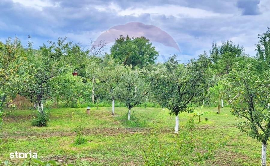 Casă cu 3 camere cu Teren 1237 Mp în Ghioroc