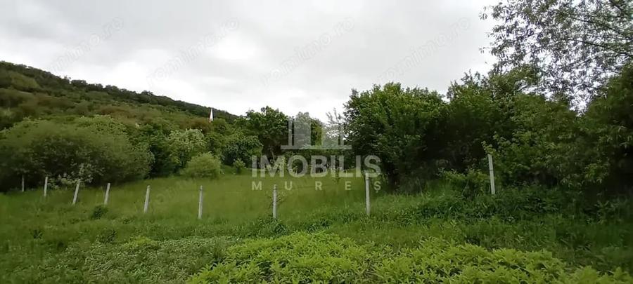 Teren de 994 mp, în Budiu Mic