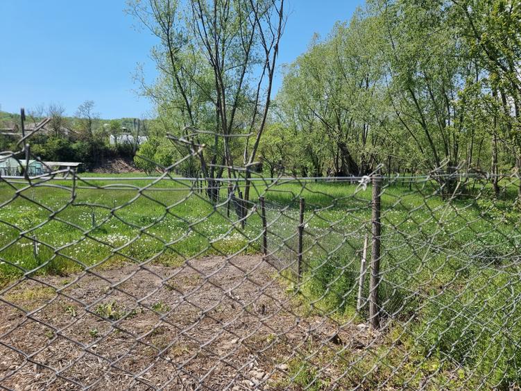 Teren Construcții intravilan de 1809 mp, în Moțăieni