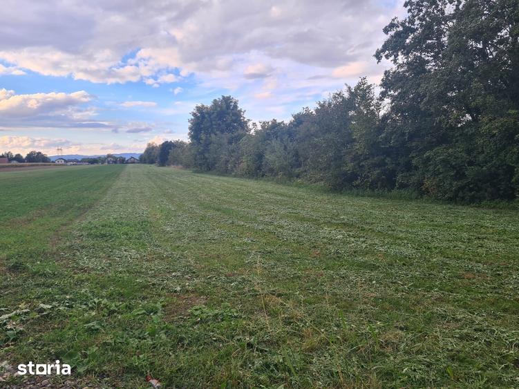 Teren de 977 mp, în Stupini