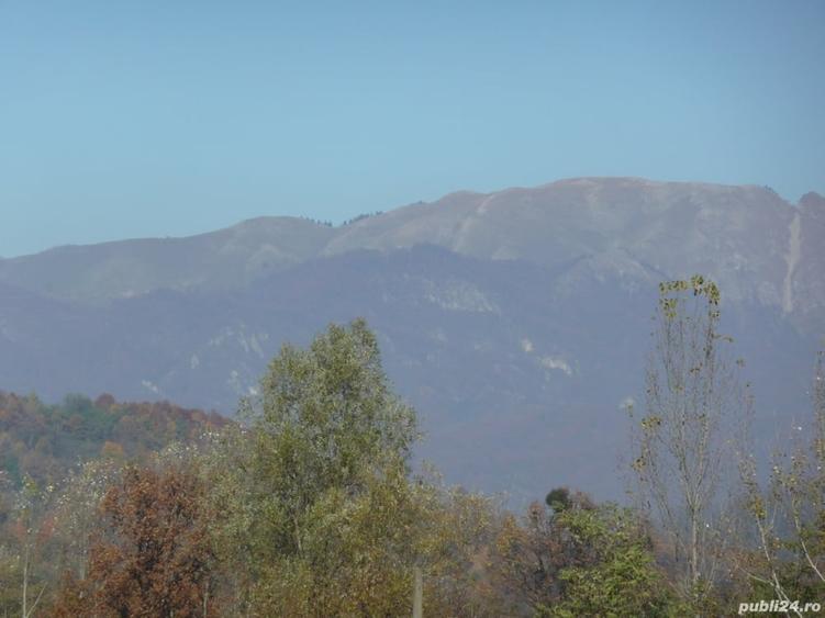 Teren de 600 mp, în Govora