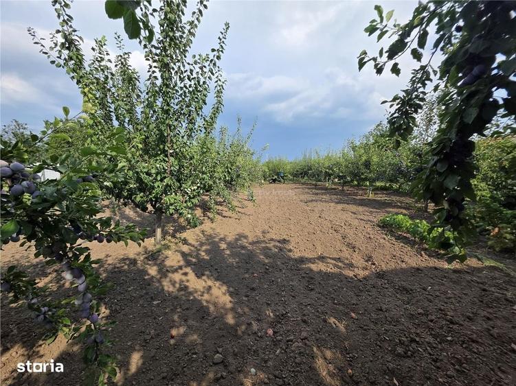 Casă cu 2 camere în Roșioru