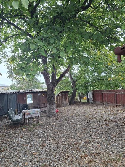 Casă cu 2 camere în Victor Babeș