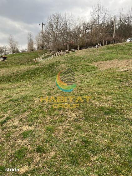Teren intravilan cu apa/curent 5/mp Corbeni-Arges - 5