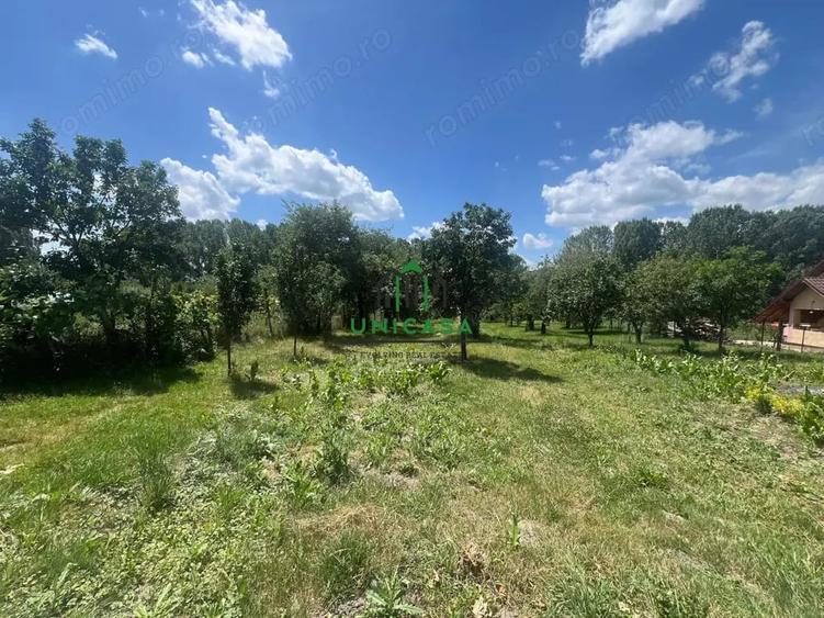 Teren de 3200 mp, în Dăești