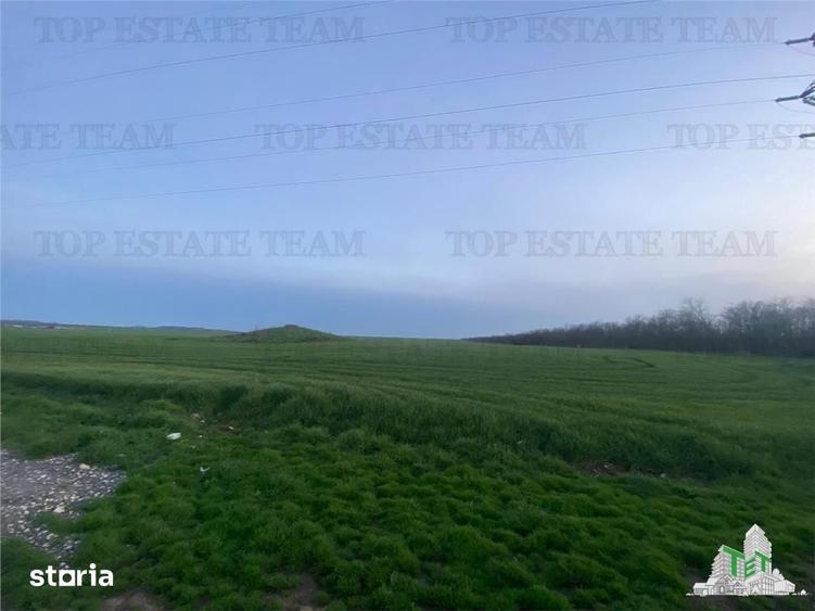 Teren de 15000 mp, în Central