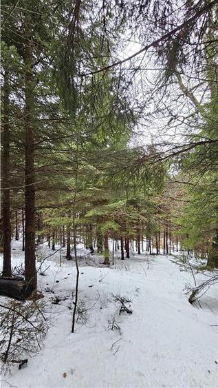 Teren extravilan de 4900 mp, în 13 Decembrie