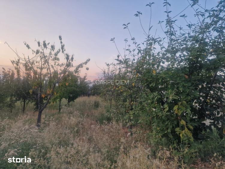 TEREN INTRAVILAN DE VANZARE ROBANE?TI, DOLJ | 5.000 MP