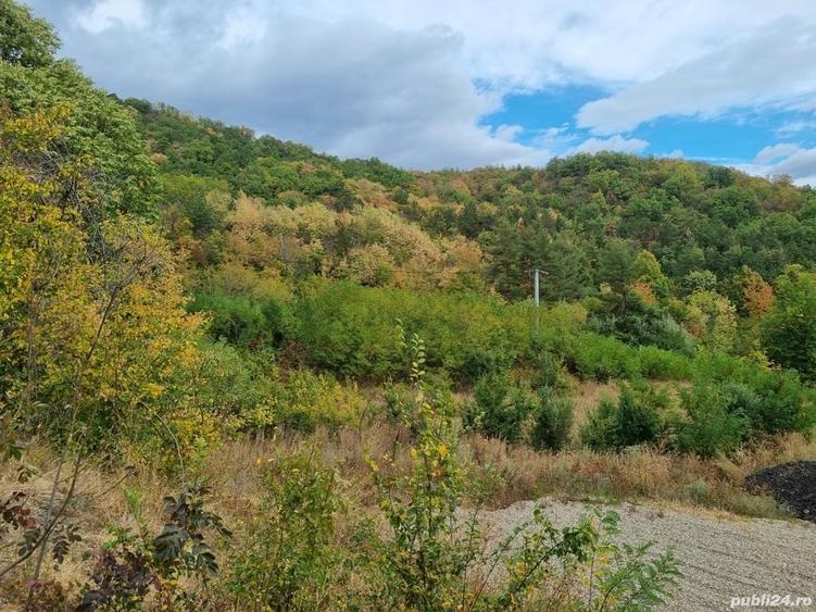 Teren de 1000 mp, în Beceni