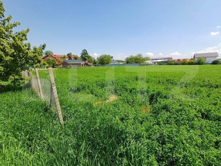 Teren de vanzare intravilan, 72 ari, zona Salcea - 5