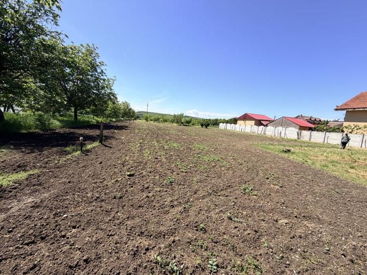 Casă individuală cu 6 camere cu Teren 3000 Mp în Exterior Nord
