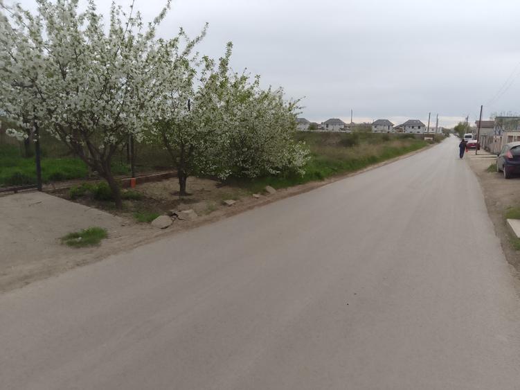 Teren Construcții intravilan de 2500 mp, în Central