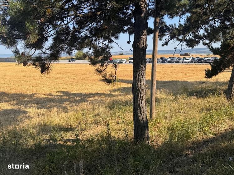Teren de vanzare 10.200 mp, PlopeniSalcea, zona Aeroportului Suceava - 9