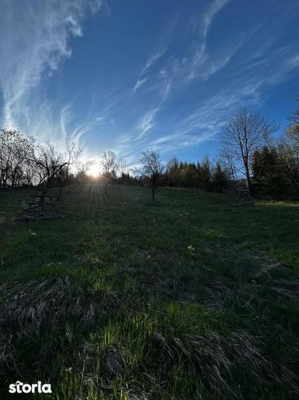 Teren de 2500 mp, în Valea Doftanei