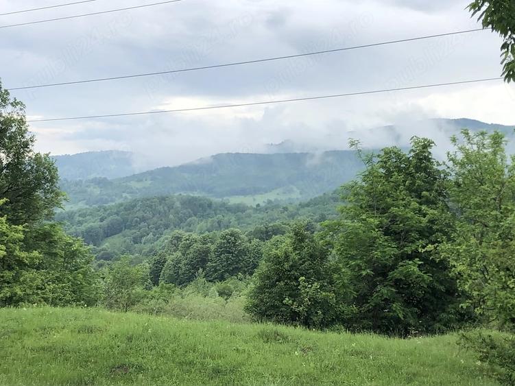 Teren de 5000 mp, în Schiulești