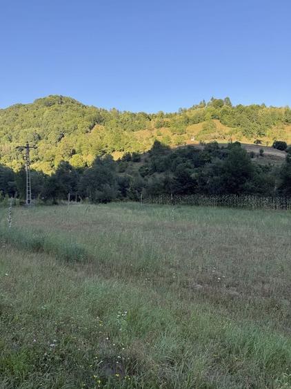 Teren de 4000 mp, în Rebra