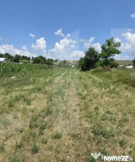 Teren în Bălușeni