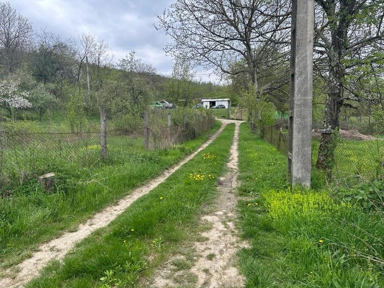 Casă individuală cu 16 camere cu Teren 5000 Mp în Malu Vârtop