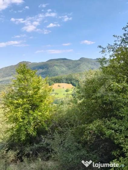 Teren în Poiana Ampoiului