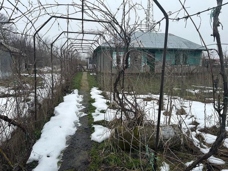 Casă cu Teren 2400 Mp în Toporu
