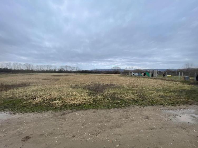 Teren Construcții de 5700 mp, în Oșorhei