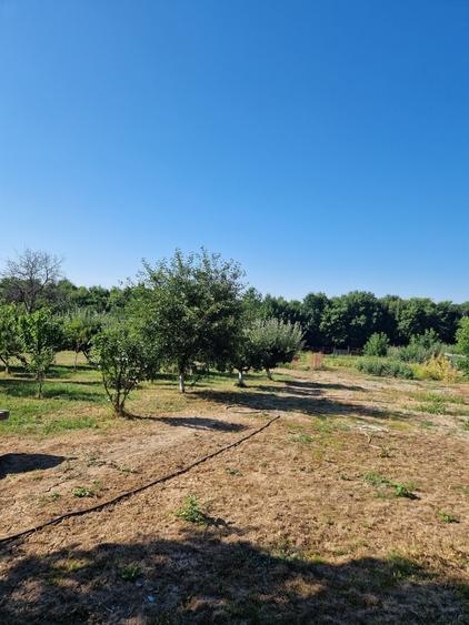 Casă cu 4 camere cu Teren 3473 Mp în Bucium