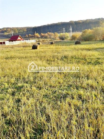 Teren Construcții intravilan de 780 mp, în Livezeni