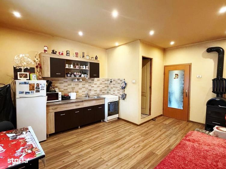 Apartament 1 camera la curte Iuliu Maniu - 1