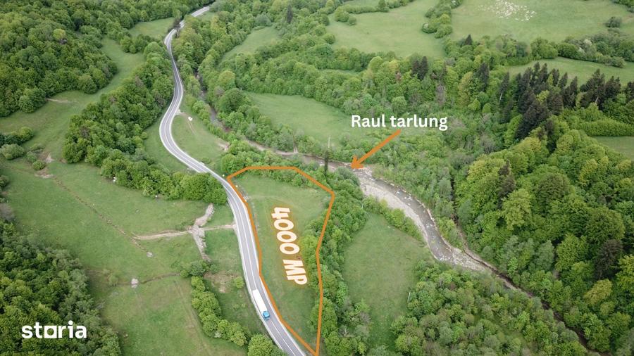 Teren de 4000 mp, în Babarunca