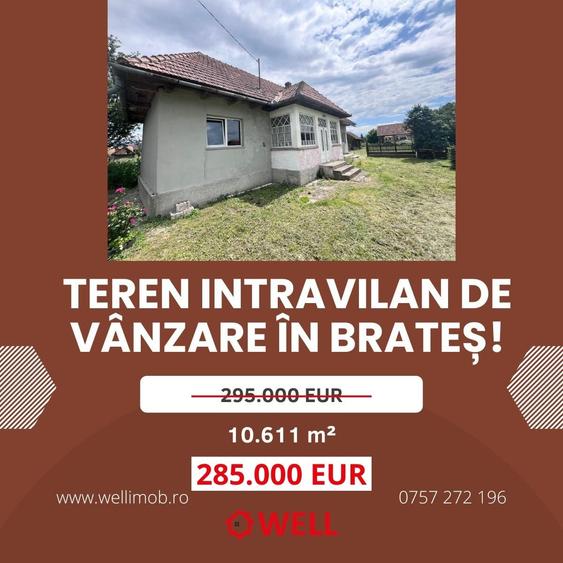 Teren intravilan de vânzare în Brateș! - 10