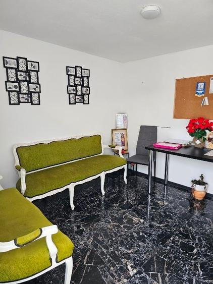 Casă cu 30 camere cu Garaj în Lenauheim