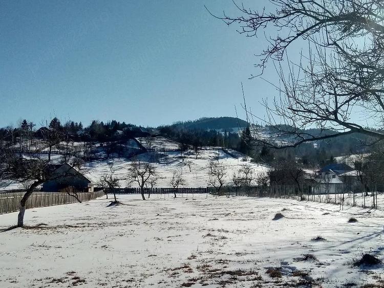 Teren intravilan la munte, in Nereju, Vrancea - 9