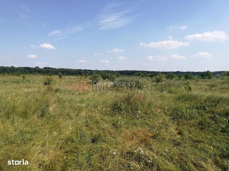 Baneasa - Piscul Reghiului, teren intravilan, suprafata 727 mp