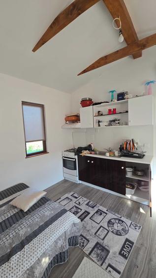 Casă cu 2 camere cu Teren 1800 Mp în Cristești