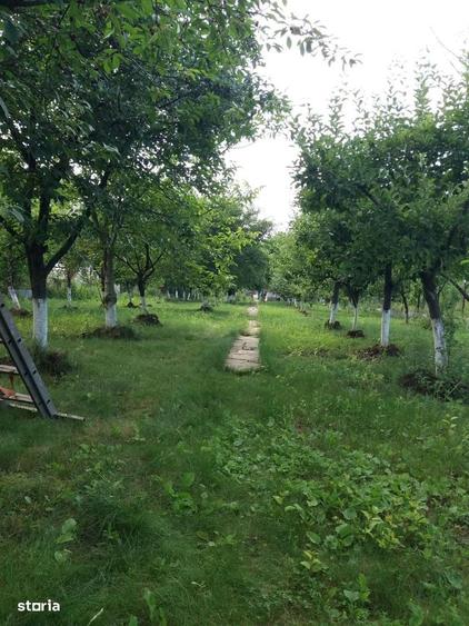 Casă cu 4 camere cu Teren 3077 Mp în Snagov