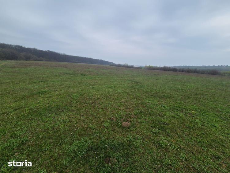 Teren de 10070 mp, în Mitocu Dragomirnei