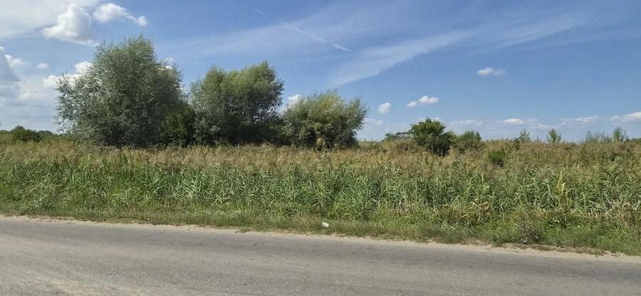 Teren de 18600 mp, în Ștefănești