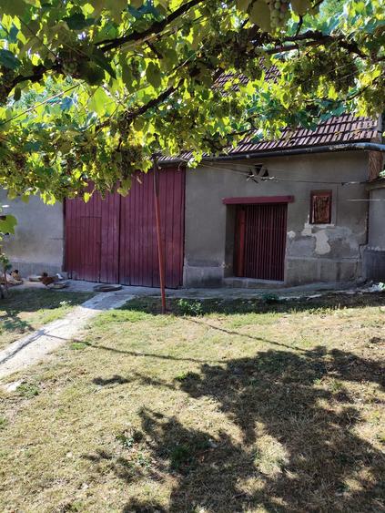 Casă cu 3 camere cu Teren 30000 Mp în Săliștea