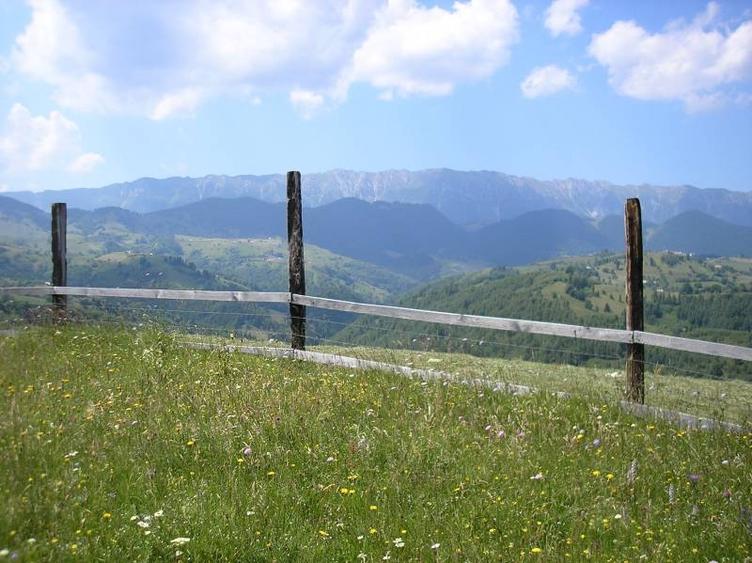 Teren intravilan de 3700 mp, în Moieciu de Jos