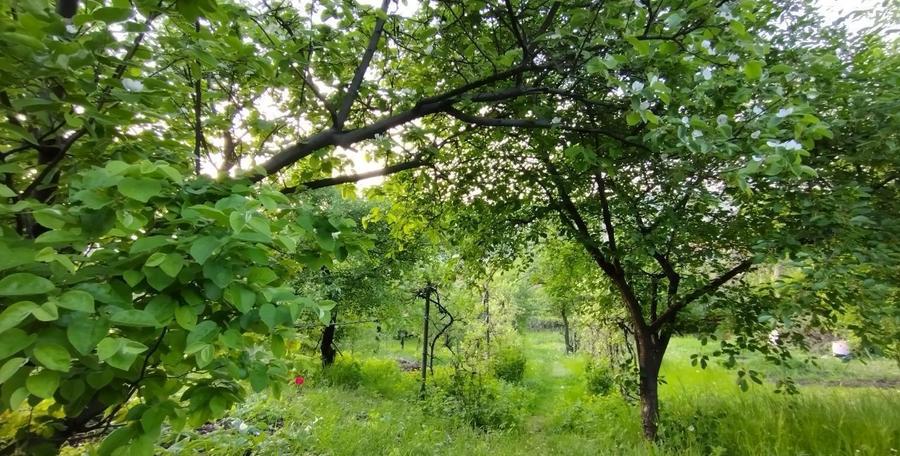 Casă individuală cu 5 camere cu Canalizare în Gruia