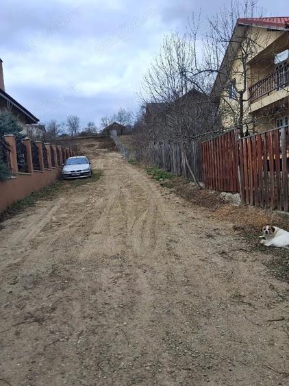 Teren de 1350 mp, în Dorobanț