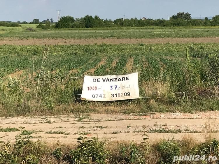 Teren în Central