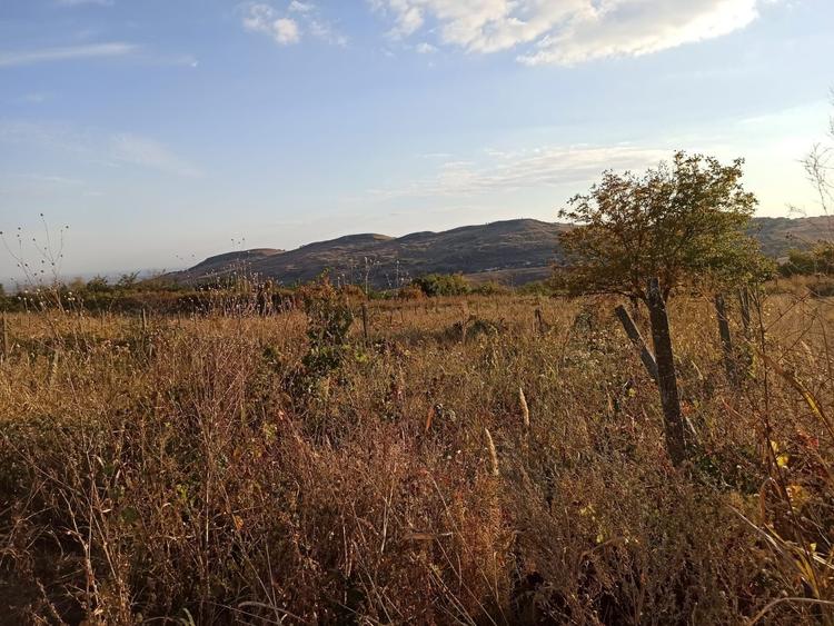 Teren de 21000 mp, în Jugureni