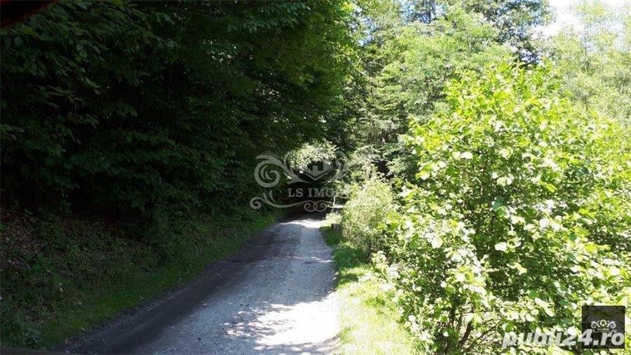 Teren în Albești
