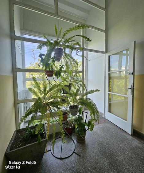 Apartament cu 2 camere în Rogerius